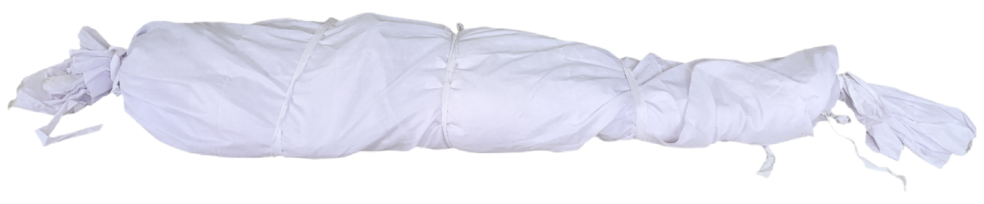 BackgroundEraser_20250820_051500681